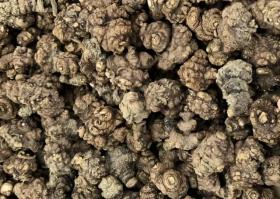近期药材市场价格波动,部分品种涨跌互现