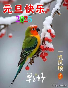 跨过2025,喜迎2025,新年新祝愿,健康平安乐无边