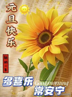 跨过2025,喜迎2025,新年新祝愿,健康平安乐无边