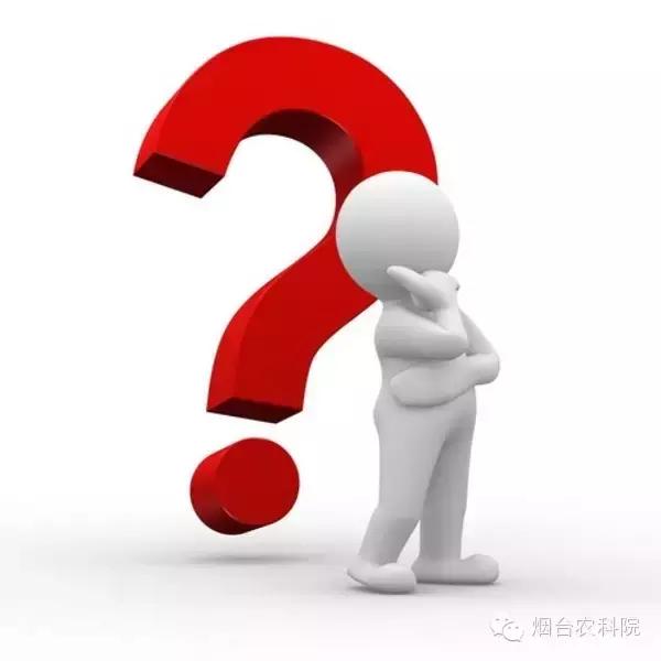 红富士苹果品种全面解析