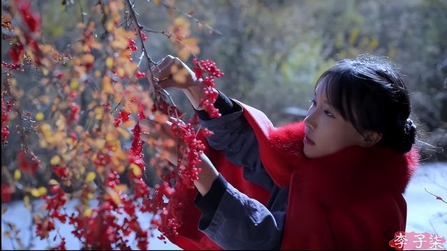 李子柒西安助力非遗春节,传统年味再焕新!